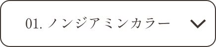 01.ノンジアミンカラーの説明へ