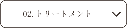 02.トリートメントの説明へ
